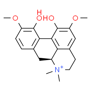 ľ������