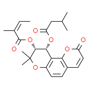 �׻�ǰ������